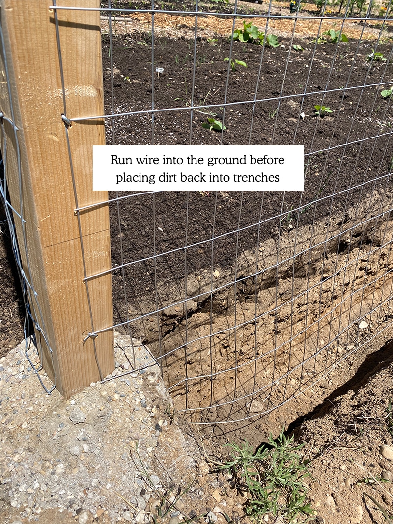 Cómo construir una cerca de jardín de bricolaje asequible que mantenga a los ciervos fuera de su jardín.