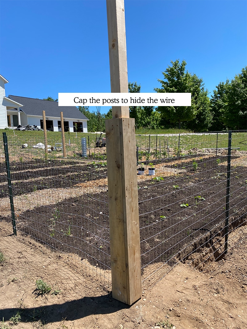 Hogyan építsünk egy DIY kerti kerítés megfizethetően, hogy fogja szarvas ki a kertben.