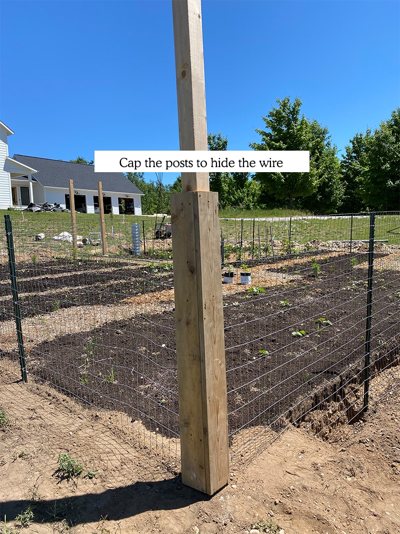 Hoe maak je een DIY Tuin Hek betaalbaar dat zal houden herten uit uw tuin te bouwen.