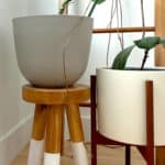 Best DIY Plant Stand Ideas in 2021
