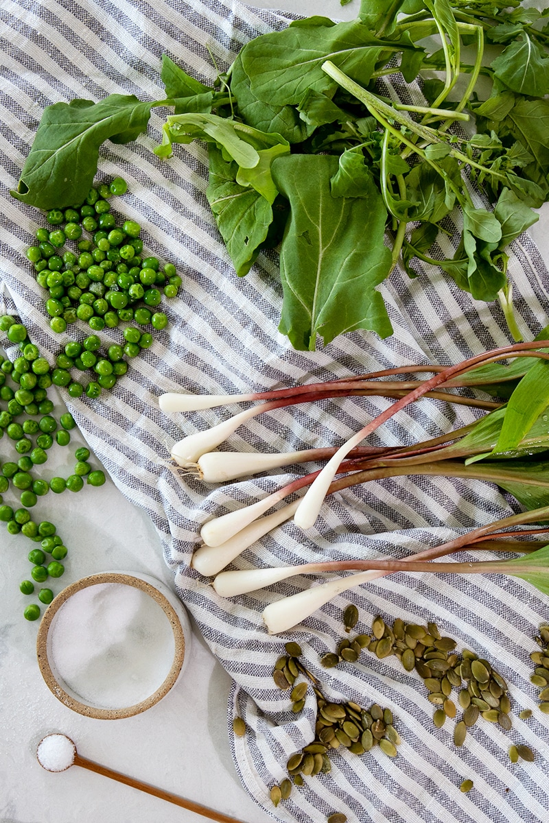Dairy-Free Pesto recipe and suggestions for saving fresh herbs from the garden