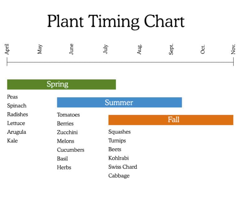 Beginner's Fall Vegetable Garden Planting Guide - Fresh Exchange