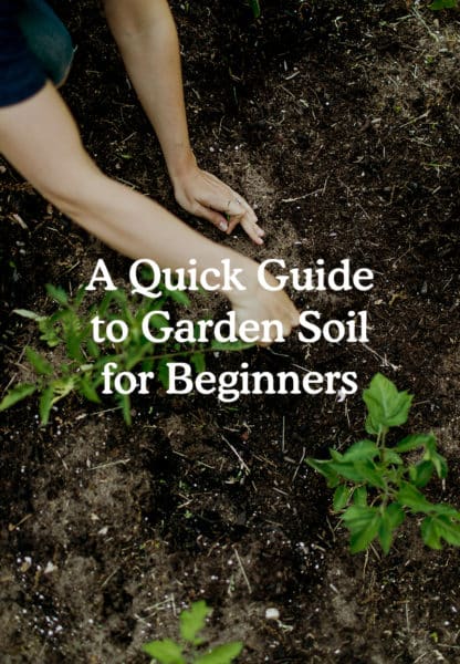 A Quick Guide to Soil for Your Garden - Fresh Exchange