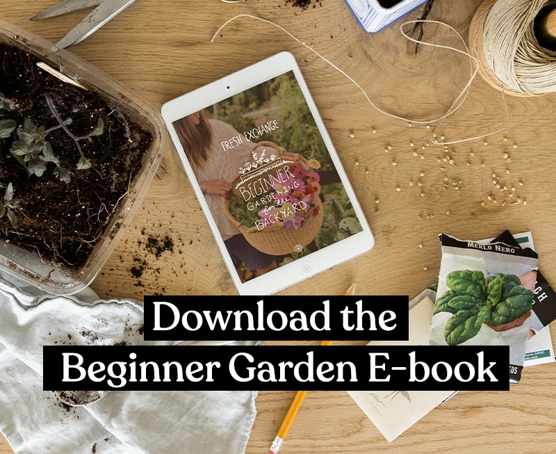 Best tips for your first Raised Bed Garden from Megan Gilger of Fresh Exchange