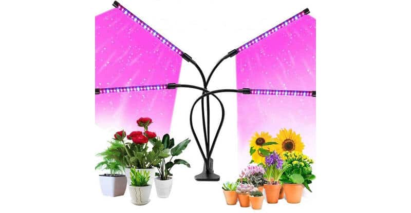 https://freshexchange.com/wp-content/uploads/Gifts_for_homesteaders_grow_Lights.jpg