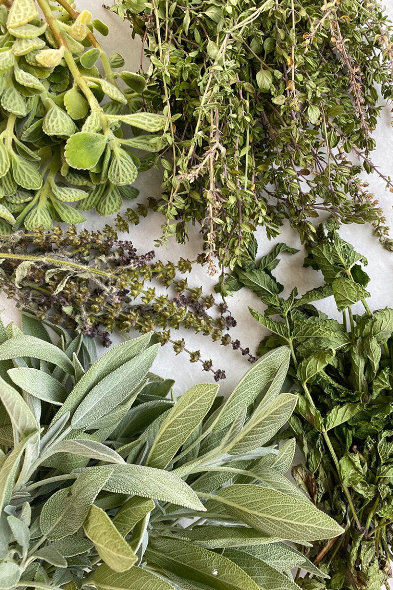 How To Actually Grow A Kitchen Herb Garden Confidently