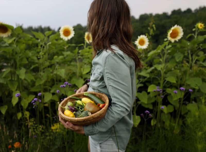Woman in garden in the summer with sunflowers