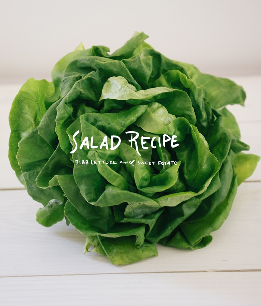 Salad Recipe: Bibb Lettuce and Sweet Potatoes | The Fresh Exchange