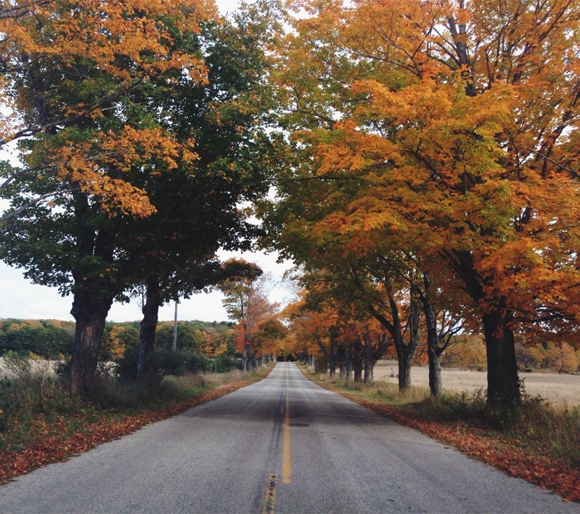 Traverse City in the Fall