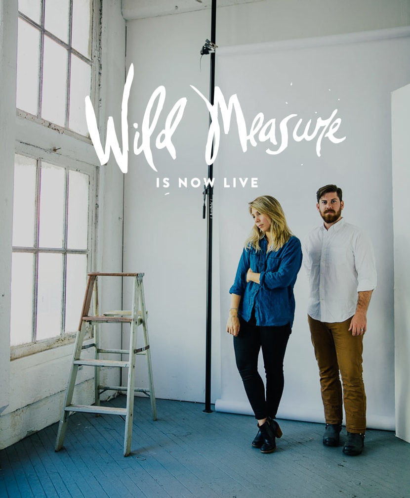 Launching WildMeasure.com