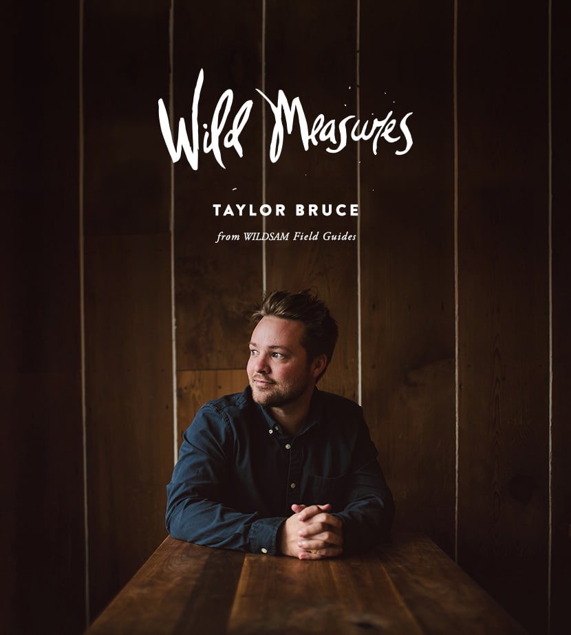 Wild Measures: Taylor Bruce of WILDSAM Field Guides