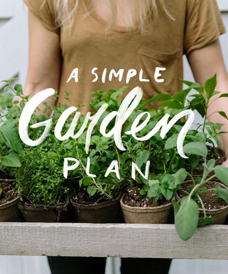 Easy Simple Garden Plan For Your Backyard - Fresh Exchange