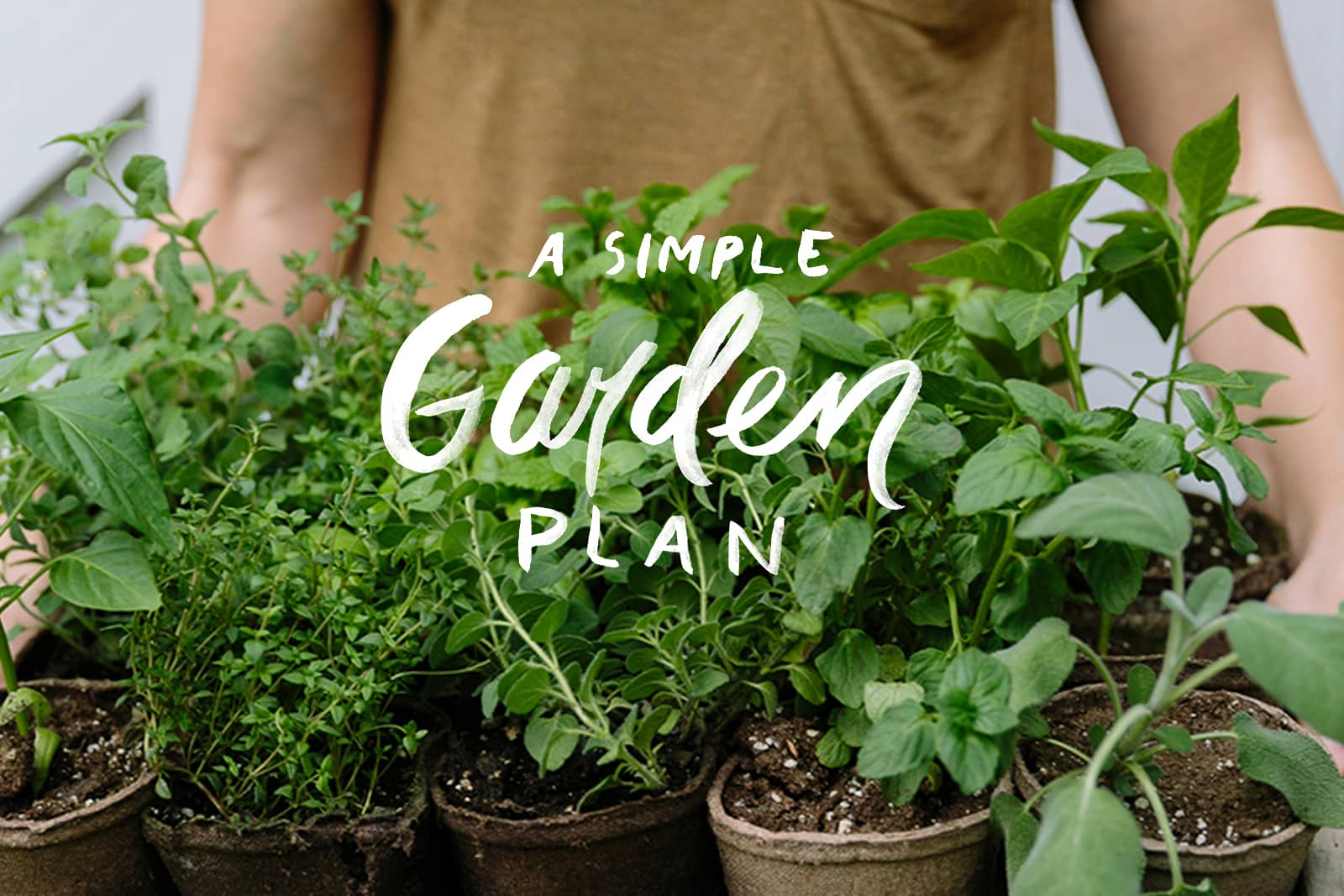 Easy  Simple Garden Plan For Your Backyard
