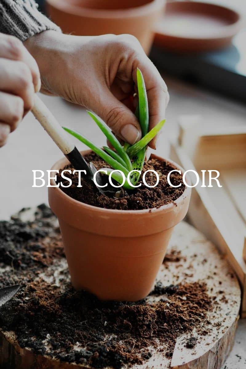 best coco coir 