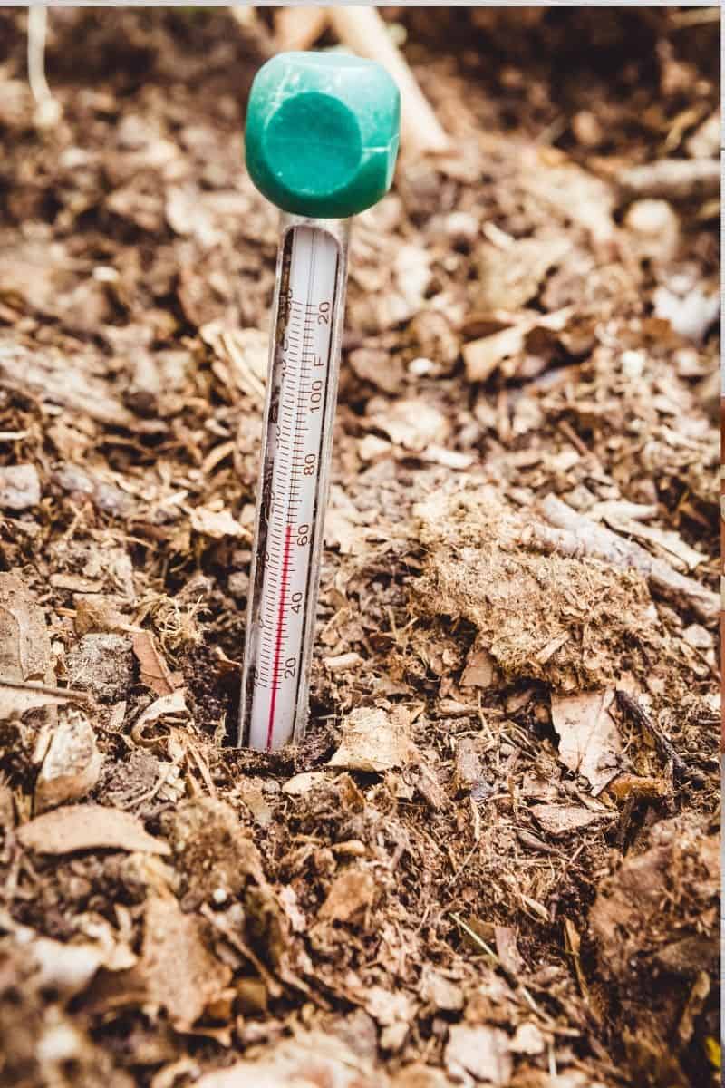 best compost thermometer