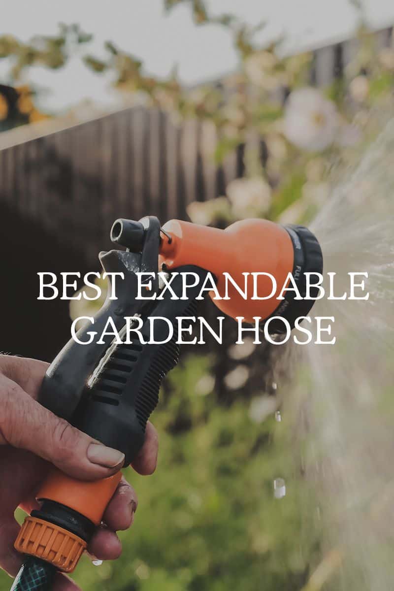 best expandable garden hose