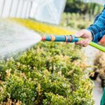 Best Expandable Garden Hose in 2022 (Reviews and Comparison)