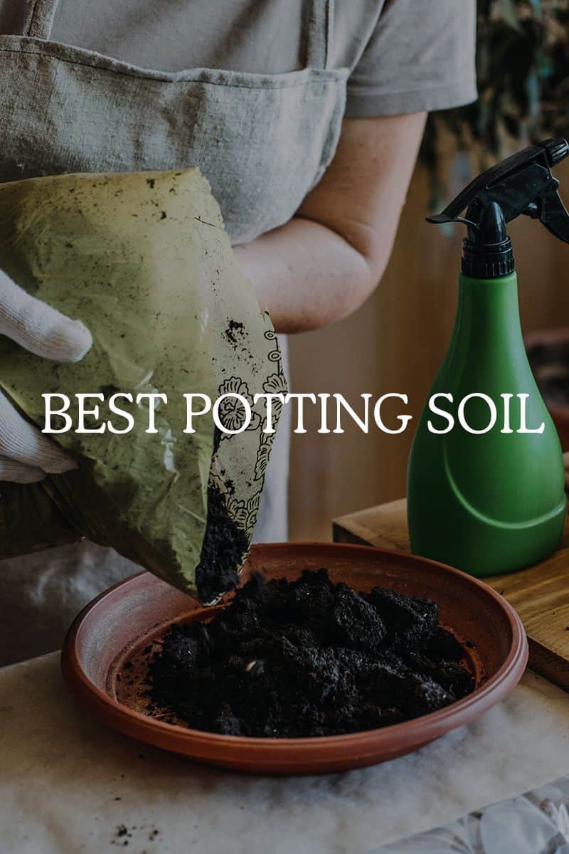 best potting soil