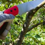 Best Pruning Saw in 2022 (Reviews and Comparison)