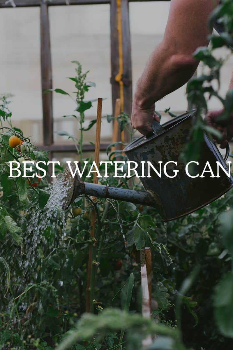 best watering can