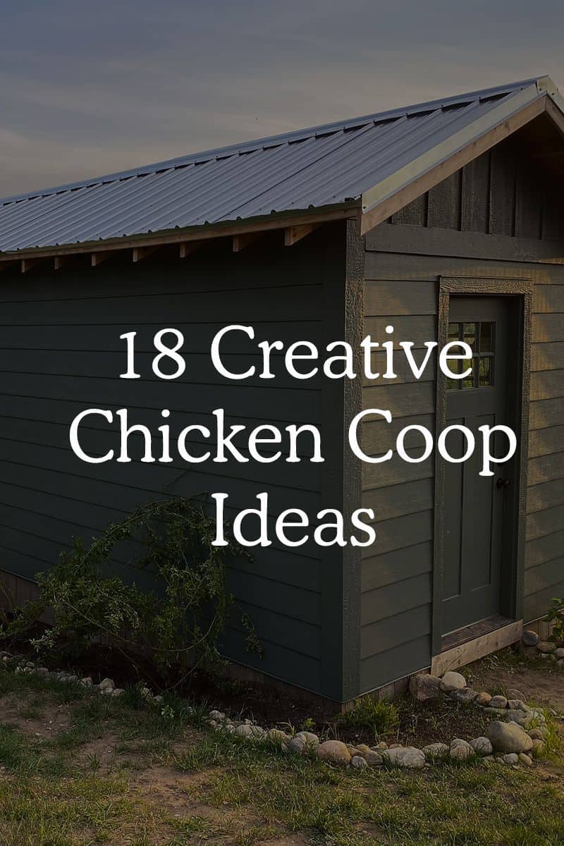 chicken_Coop_Ideas_Cover