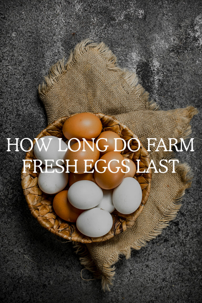 How Long Do Farm Fresh Eggs Last Fresh Exchange