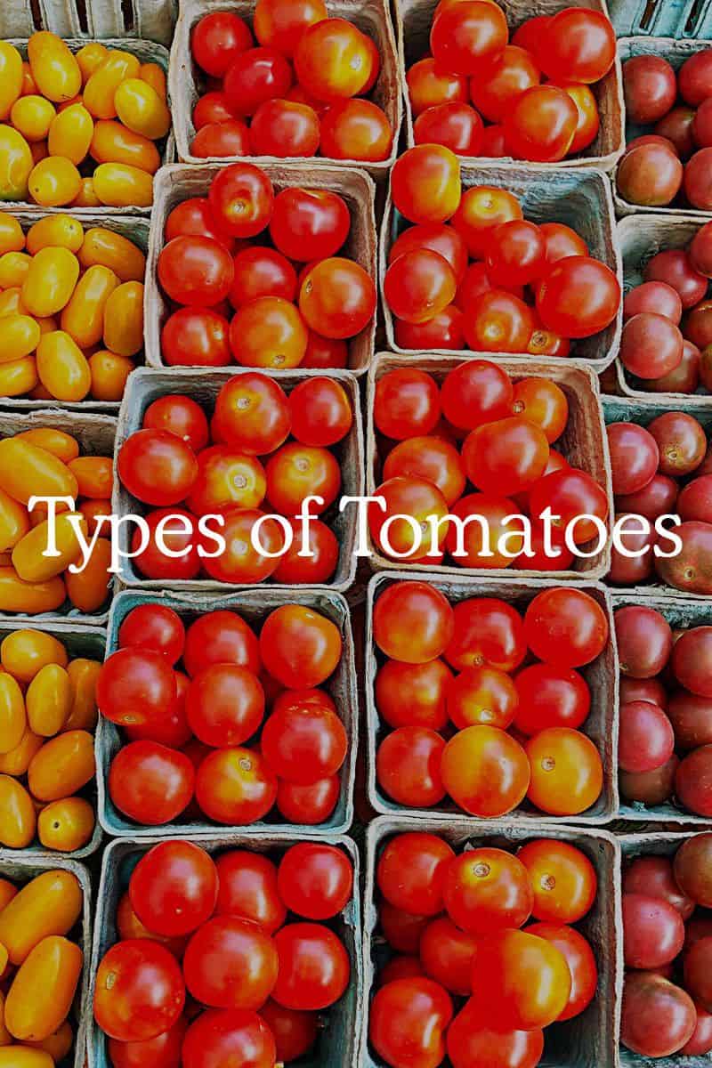 Tomato Varieties, Types of Tomatoes, Heirloom Tomatoes