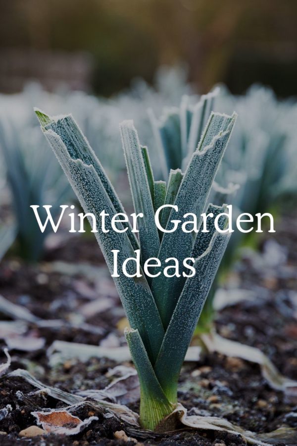 easy winter garden ideas